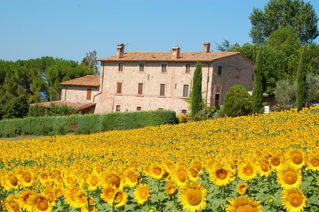 Agriturismo Casale Dei Frontini San Terenziano Exteriör bild